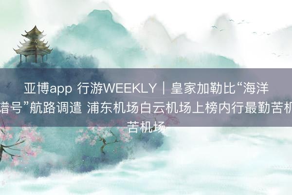 亚博app 行游WEEKLY｜皇家加勒比“海洋光谱号”航路调遣 浦东机场白云机场上榜内行最勤苦机场