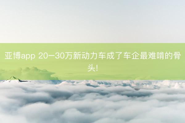亚博app 20–30万新动力车成了车企最难啃的骨头!