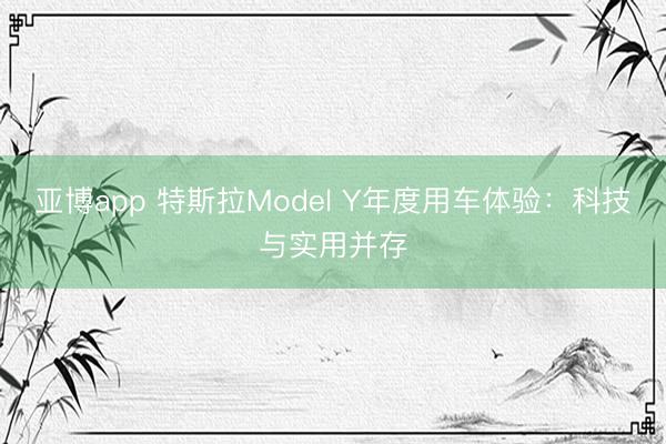 亚博app 特斯拉Model Y年度用车体验：科技与实用并存