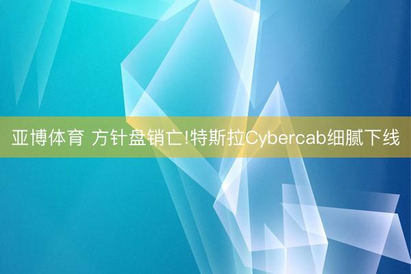 亚博体育 方针盘销亡!特斯拉Cybercab细腻下线