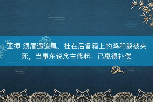 亚搏 须眉遇追尾，挂在后备箱上的鸡和鹅被夹死，当事东说念主修起：已赢得补偿