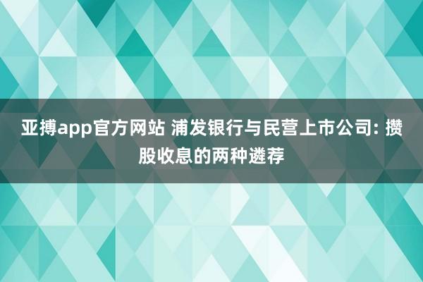 亚搏app官方网站 浦发银行与民营上市公司: 攒股收息的两种遴荐