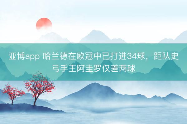 亚博app 哈兰德在欧冠中已打进34球，距队史弓手王阿圭罗仅差两球
