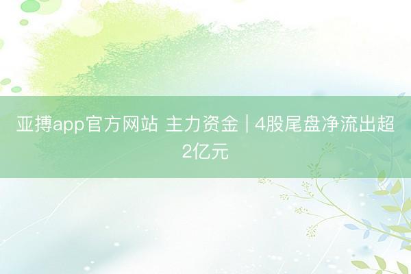 亚搏app官方网站 主力资金 | 4股尾盘净流出超2亿元