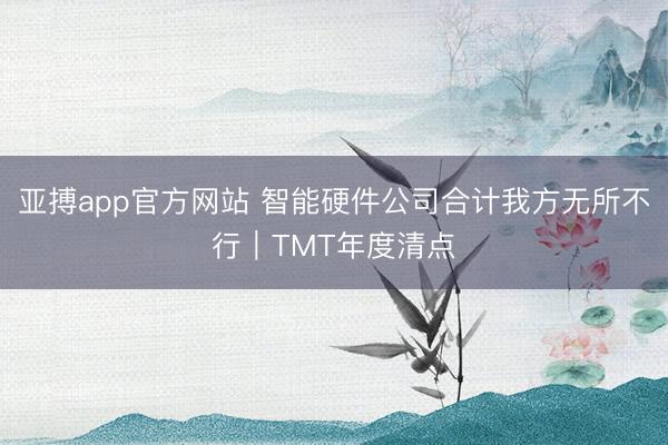 亚搏app官方网站 智能硬件公司合计我方无所不行｜TMT年度清点