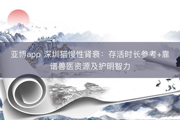 亚博app 深圳猫慢性肾衰:存活时长参考+靠谱兽医资源及护明智力