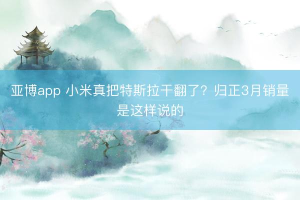 亚博app 小米真把特斯拉干翻了？归正3月销量是这样说的