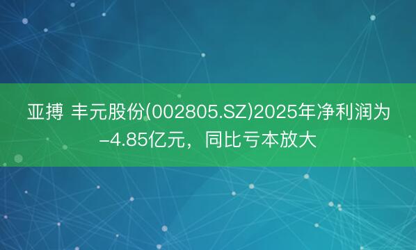 亚搏 丰元股份(002805.SZ)2025年净利润为-4.85亿元，同比亏本放大