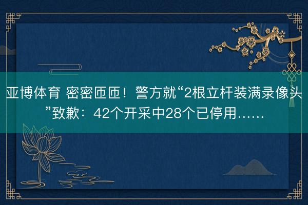 亚博体育 密密匝匝！警方就“2根立杆装满录像头”致歉：42个开采中28个已停用……