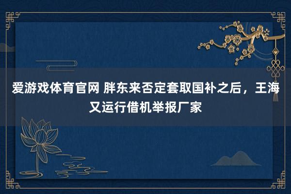 爱游戏体育官网 胖东来否定套取国补之后，王海又运行借机举报厂家