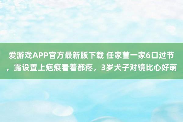 爱游戏APP官方最新版下载 任家萱一家6口过节，露设置上疤痕看着都疼，3岁犬子对镜比心好萌
