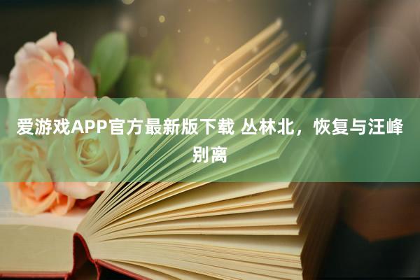 爱游戏APP官方最新版下载 丛林北，恢复与汪峰别离