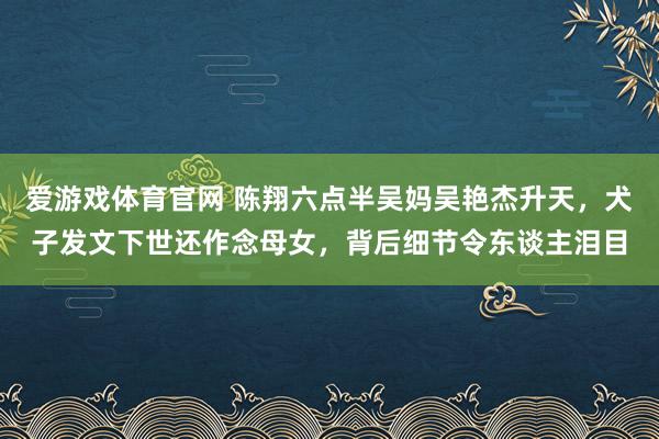 爱游戏体育官网 陈翔六点半吴妈吴艳杰升天，犬子发文下世还作念母女，背后细节令东谈主泪目