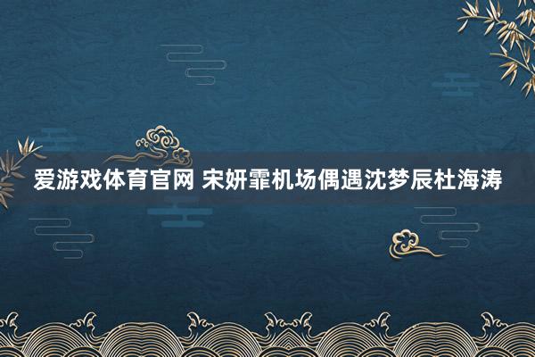 爱游戏体育官网 宋妍霏机场偶遇沈梦辰杜海涛