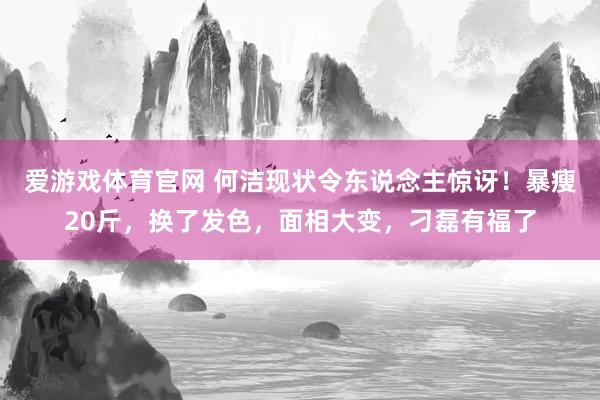 爱游戏体育官网 何洁现状令东说念主惊讶！暴瘦20斤，换了发色，面相大变，刁磊有福了