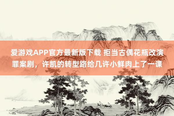 爱游戏APP官方最新版下载 拒当古偶花瓶改演罪案剧，许凯的转型路给几许小鲜肉上了一课