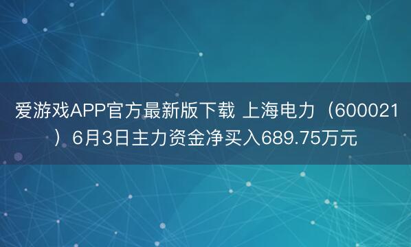 爱游戏APP官方最新版下载 上海电力（600021）6月3日主力资金净买入689.75万元