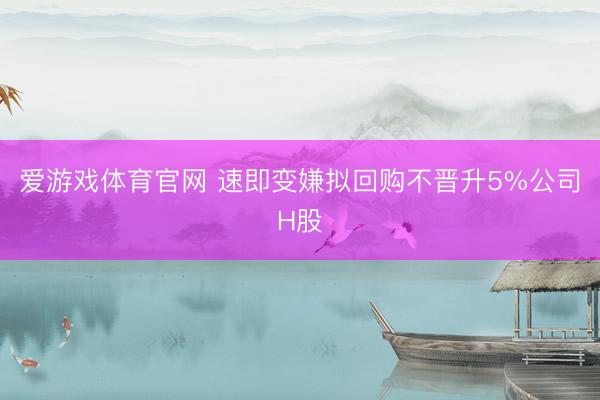 爱游戏体育官网 速即变嫌拟回购不晋升5%公司H股