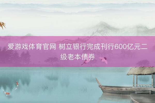 爱游戏体育官网 树立银行完成刊行600亿元二级老本债券