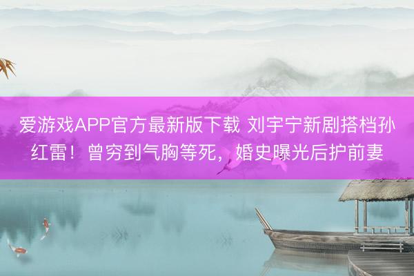 爱游戏APP官方最新版下载 刘宇宁新剧搭档孙红雷！曾穷到气胸等死，婚史曝光后护前妻