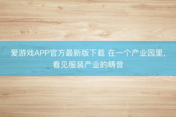 爱游戏APP官方最新版下载 在一个产业园里，看见服装产业的畴昔