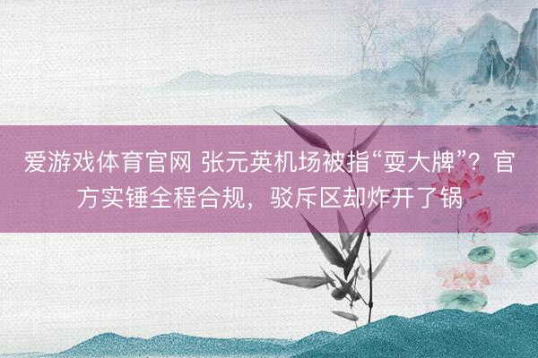 爱游戏体育官网 张元英机场被指“耍大牌”？官方实锤全程合规，驳斥区却炸开了锅